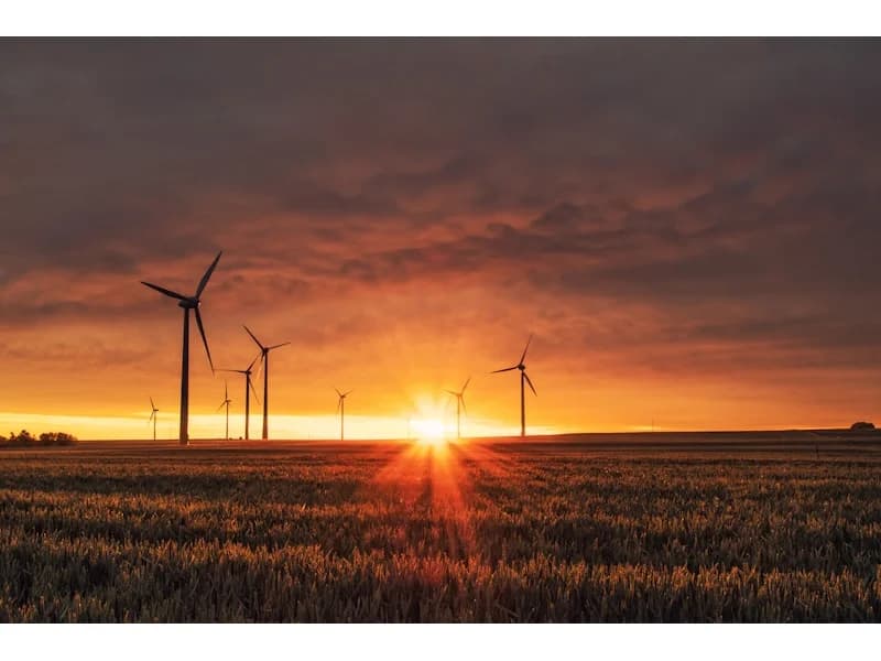 Panneau Solaire Jinko Tiger Neo 545Wc disponible au Sénégal – NRJSOLAIRE